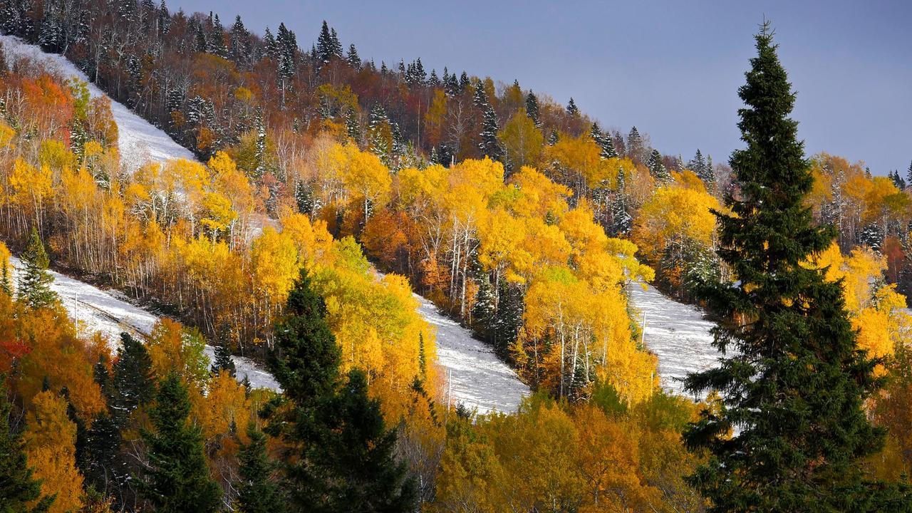 Les Bouleaux - Les Chalets Spa Canada 拉马巴耶 外观 照片